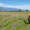 صورة Lutfiah Ayundasari